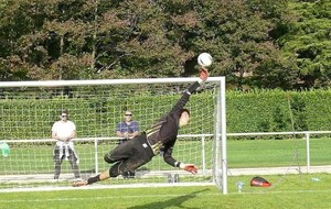 Recherche gardien de but