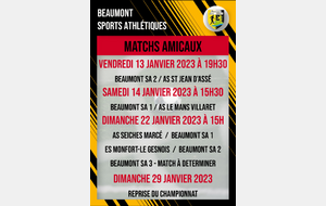 Matchs amicaux