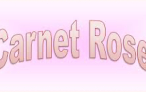 Carnet rose
