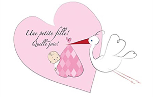 Carnet rose