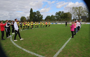 Entrée des joueurs pour Octobre Rose