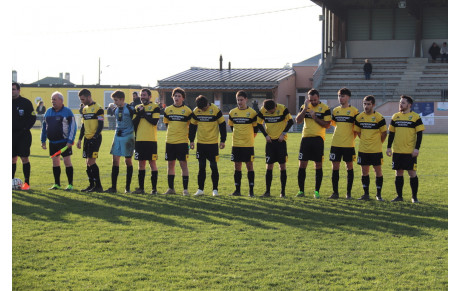 Résultats sportifs du BSA