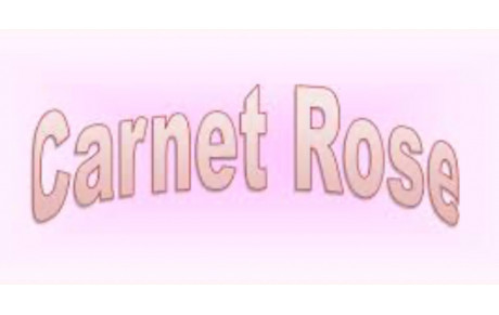 Carnet rose