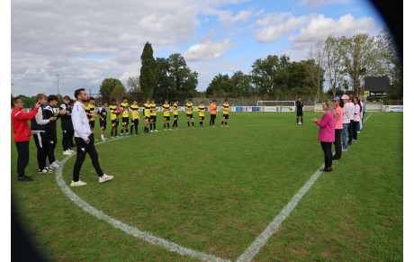 Entrée des joueurs pour Octobre Rose